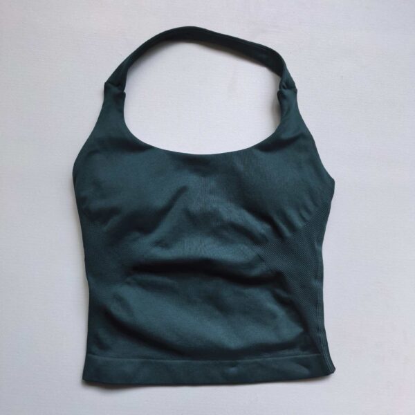 Halter Crop Top/Bra
